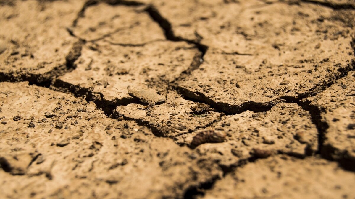 365 mandals in Telangana face drought conditions amid water shortage and El Niño effects